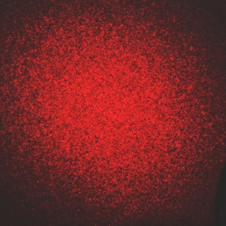 Ordinary laser speckle photographed by Epzcaw, 2008 — optics context, not a DMT-session image or captured reality code