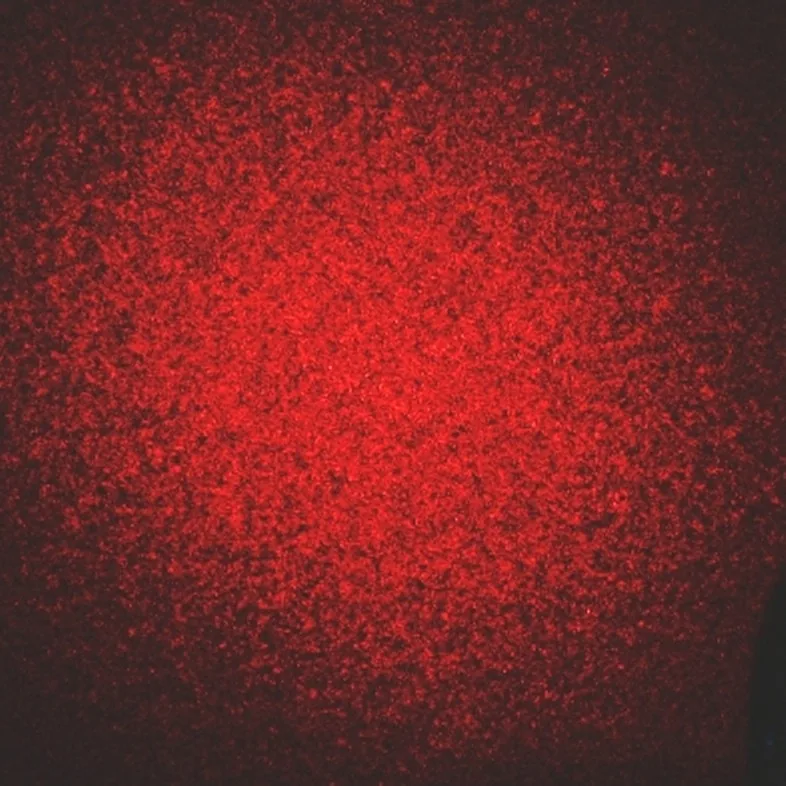 Ordinary laser speckle photographed by Epzcaw, 2008 — optics context, not a DMT-session image or captured reality code